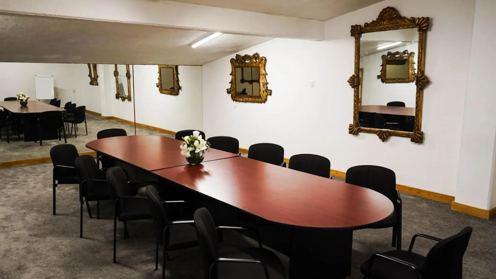 גואדלחארה Hotel Laffayette Ejecutivo