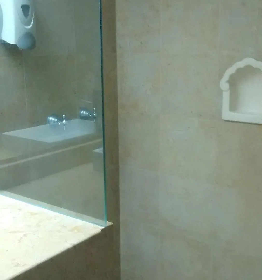 גואדלחארה Hotel Laffayette Ejecutivo