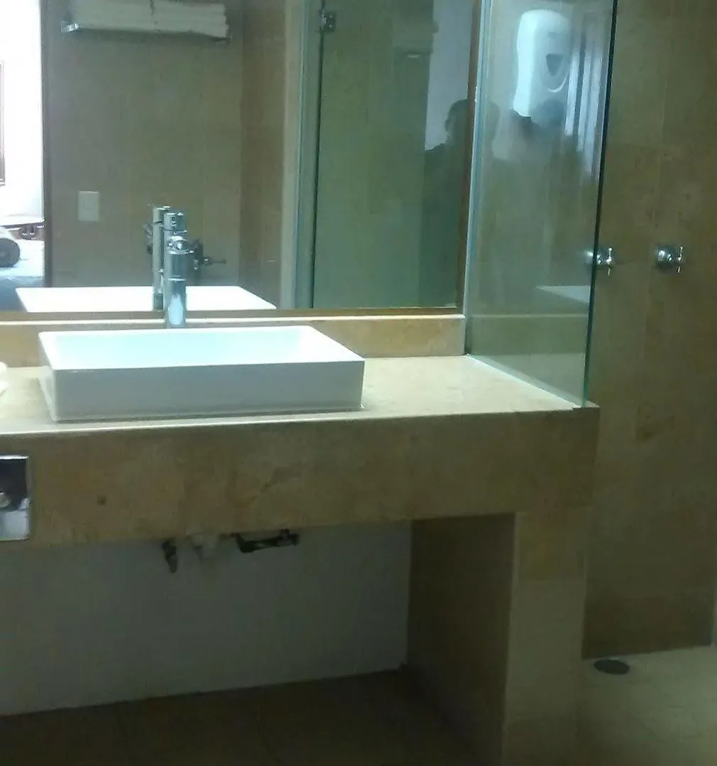 גואדלחארה Hotel Laffayette Ejecutivo 3*,